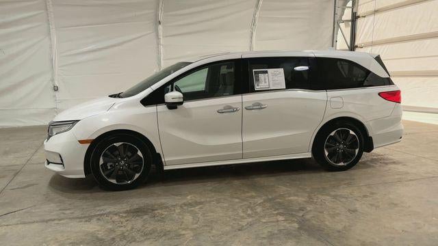 2024 Honda Odyssey Elite